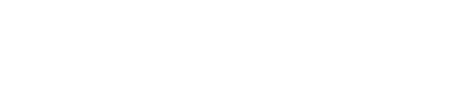 Momentum